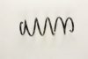 FIAT 50701545 Coil Spring